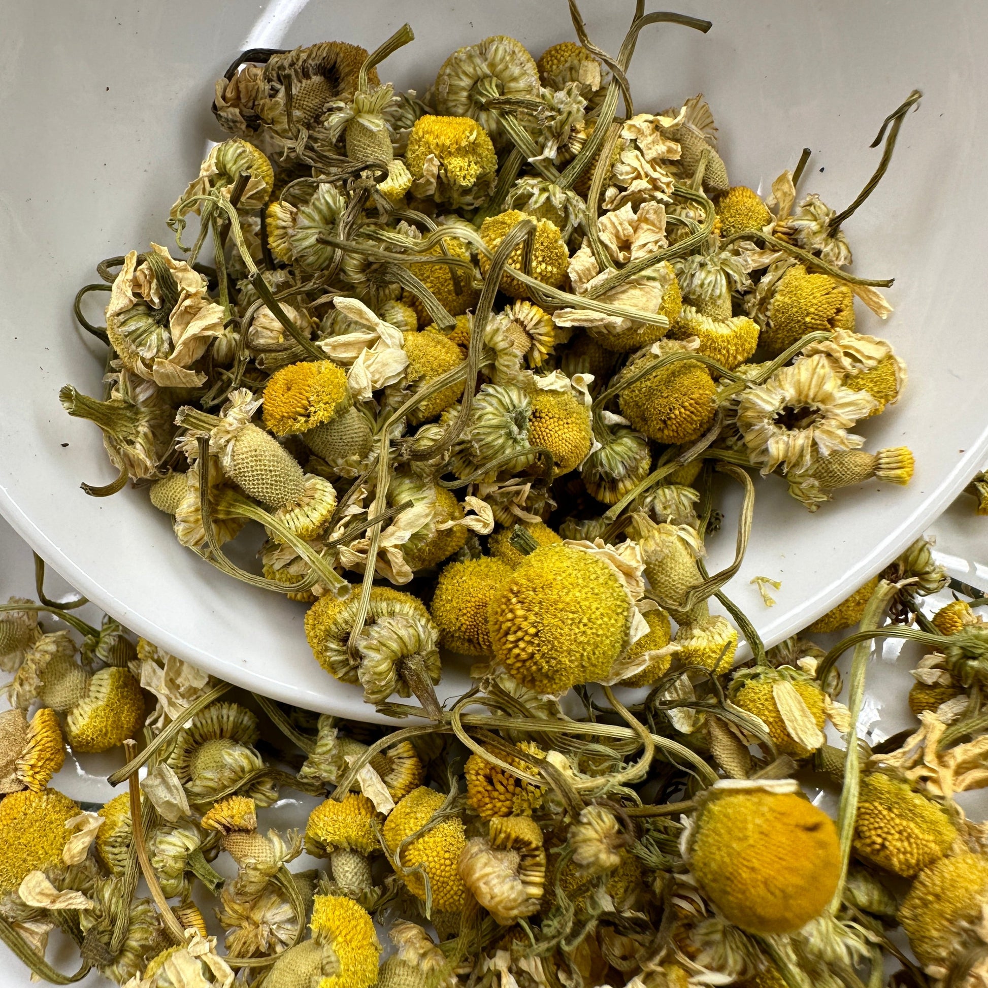 Chamomile flower buds, herbal tea, tisane, wellness tea