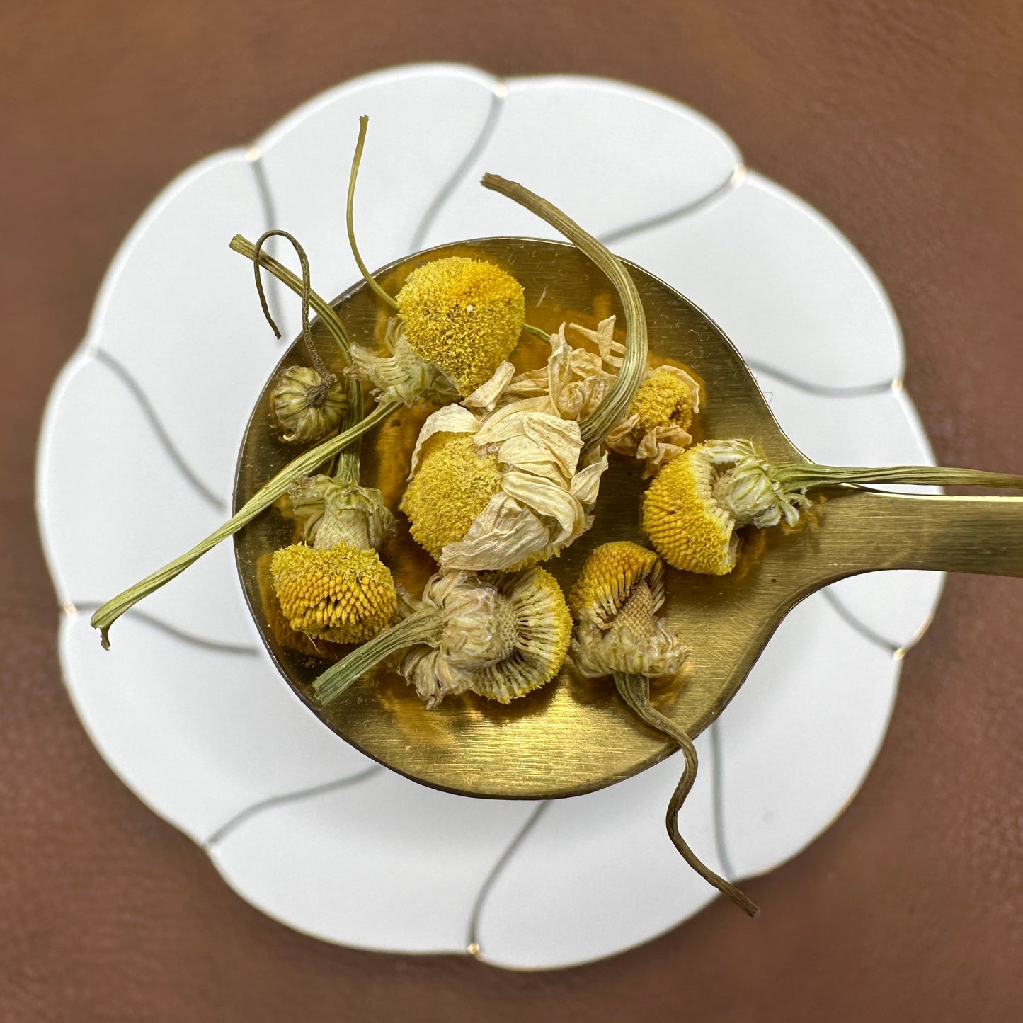 Chamomile flower buds, herbal tea, tisane, wellness tea